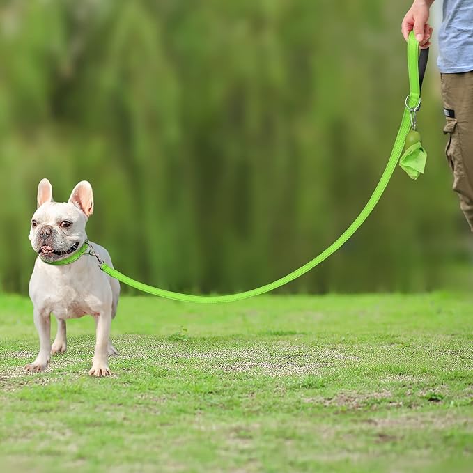 Joytale Double-Sided Reflective Dog Leash, 6 FT/5 FT/4 FT, Padded Handle Nylon Heavy Duty Leashes for Small & Medium Dogs Walking, Green, 6FT