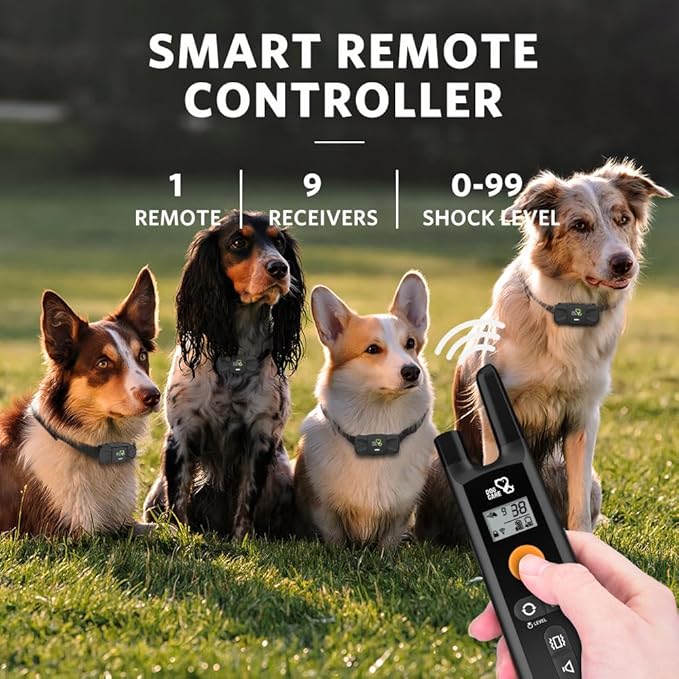 Dog Training Collar - Rechargeable Dog Shock Collar with Beep, Vibration and Shock Training Modes, Rainproof, Long Remote Range, Adjustable Shock Levels Shock Collars for Dogs with Remote