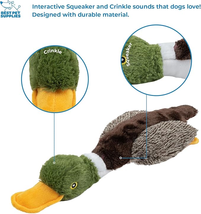 Best Pet Supplies Interactive Squeaky Dog Chew Toy, Ideal Dog Toys for Chewers, Small, Medium & Large Dogs, and Fetch Lovers - Duck (Mystery Box), Large
