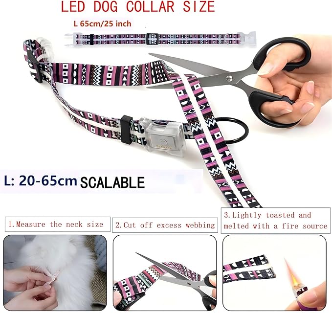 Upgraded Version Light Up Dog Collars,LED Dog Collar Rechargeable Waterproof,2-in-1 Buckle Type Glow Dog Collar for Small to Large Dogs,XL(Bohemian Purple)