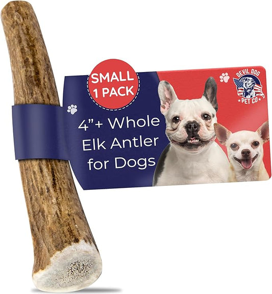 Devil Dog Pet Co. Elk Antlers for Dogs, Small 4"+, 1 Pack, Grade A Long Lasting Chew for Aggressive Chewers, Premium USA Naturally Shed Antler – Healthy, No Odor, Durable Dog Chew