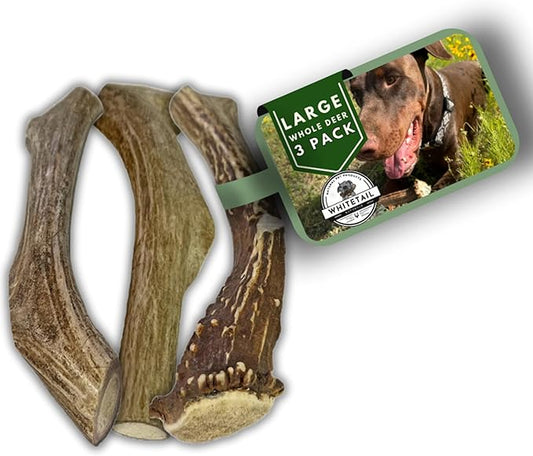 WhiteTail Naturals (3 Pack Deer Antlers for Large Dogs, Antler Dog Chews - Crafted in USA Dog Antler - Long Lasting Bone for Aggressive Chewers