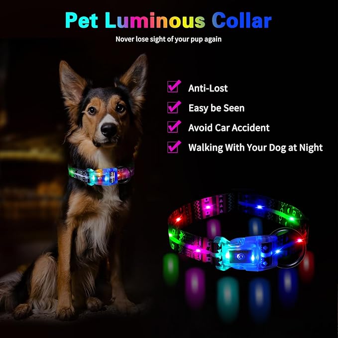 Upgraded Version Light Up Dog Collars,LED Dog Collar Rechargeable Waterproof,2-in-1 Buckle Type Glow Dog Collar for Medium Large Dogs.XL(Bohemian Blue)