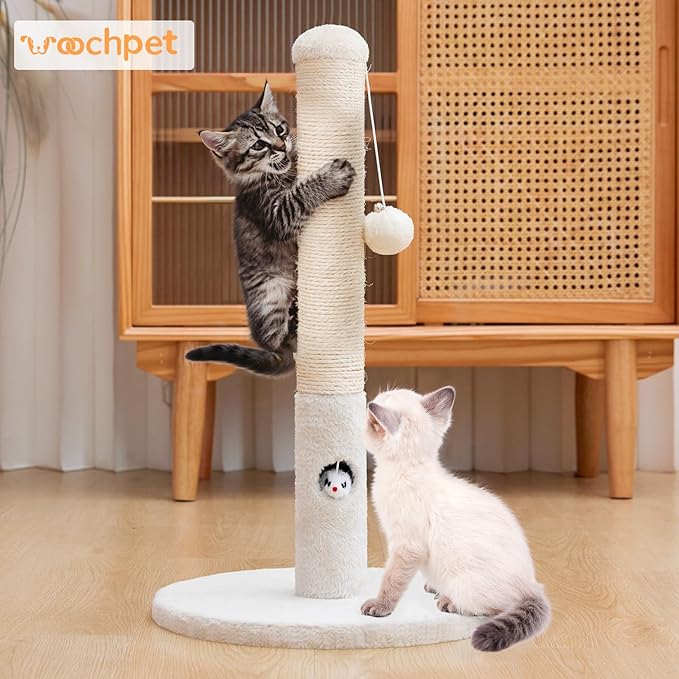 Cat Scratching Post for Kitten, 23in Tall Cute Small Cat Scratching Post with Premium Sisal Rope and Dangling Cat Toy Balls (White