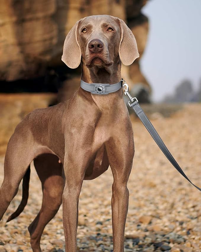 4FT Reflective Nylon Dog Leash with Soft Padded Handle for Walking, Running and Training, Supports Small Medium and Large Dogs (Grey, 3/4 Inch Wide)