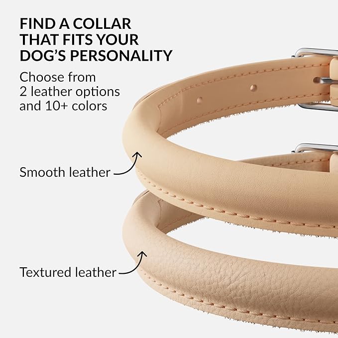 CollarDirect Rolled Leather Dog Collar, Soft Padded Round Puppy Collar, Handmade Genuine Leather Collar Dog Small Large Cat Collars 13 Colors (11-14 Inch, Beige Smooth)