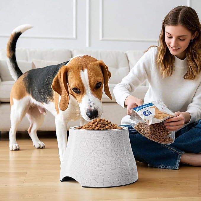 Elevated Dog Bowls with Stainless Steel Bowl, Prevention of Vertebrae Disease Dog Food Bowl, Non-Slip and High Capacity Pet Bowls Crackle Design M/2 Cup