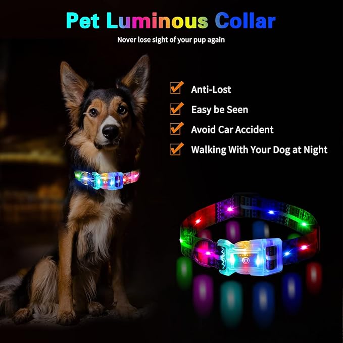 2Pcs Light Up Dog Collars,LED Dog Collar Rechargeable Waterproof,2-in-1 Buckle Type Glow Collar for Medium Large Dogs- ML(Neck:15-25",Strap Width:1")