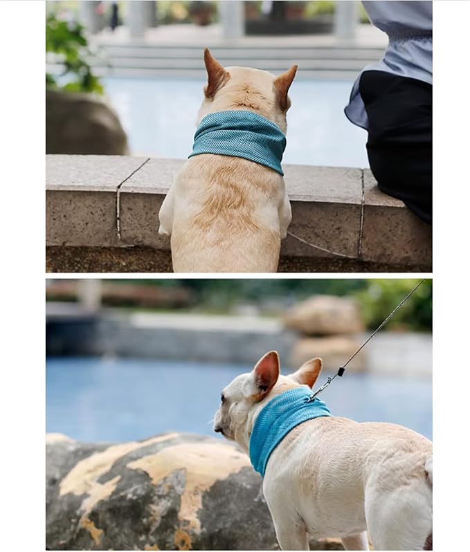 Instant Cooling Dog Bandana for Pet Scarf Soft Cool Mat Pet Collar – Eco-Friendly Breathable Polyester Dog Cooling Bandana for Dogs Puppy Bandana with Leash Hole (Blue, Small)