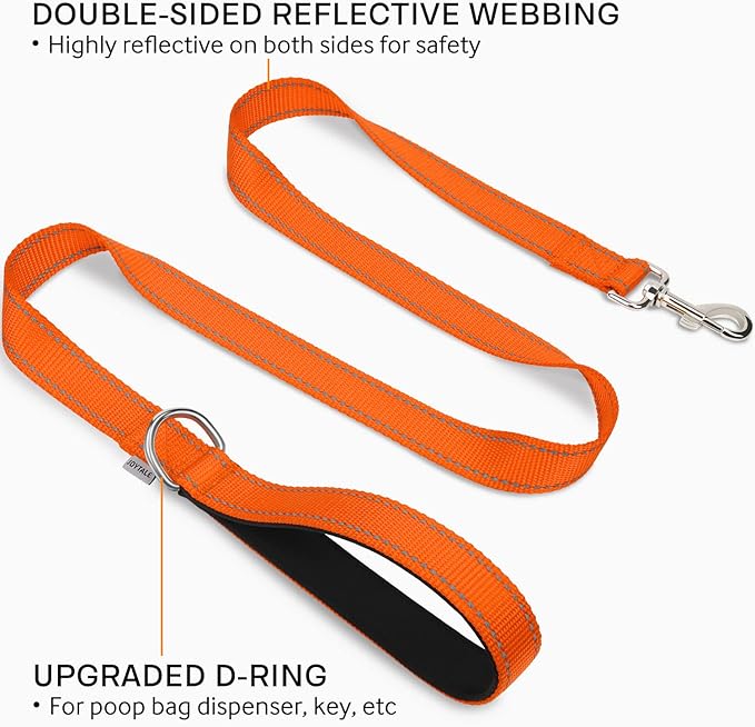 Joytale Double-Sided Reflective Dog Leash, 4 FT, Padded Handle Nylon Heavy Duty Leashes for Small & Medium Dogs Walking, Orange