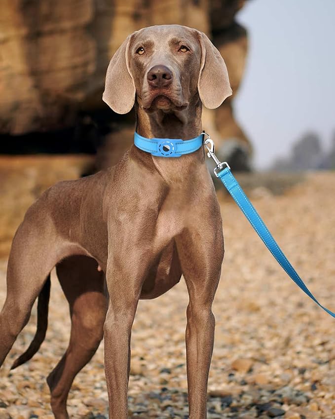 6FT Reflective Nylon Dog Leash with Soft Padded Handle for Walking, Running and Training, Supports Small Medium and Large Dogs (Auqa Blue, 1 Inch Wide)