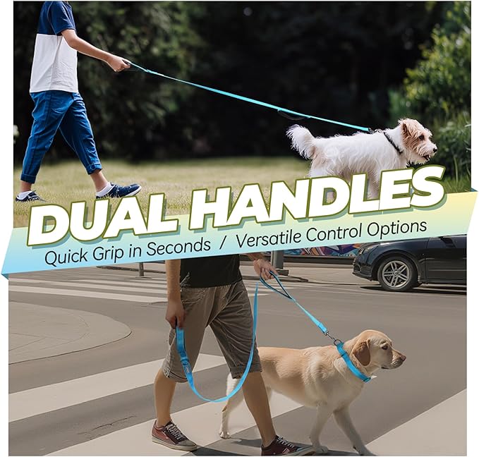 VIVAGLORY Twingrip Dog Leash, Double Handle Dog Leash for Training & Walking with Traffic Handle & 2 Loop, Traffic Control Reflective Heavy Duty for Puppy Pet, 4ft x 1in, Lake Blue