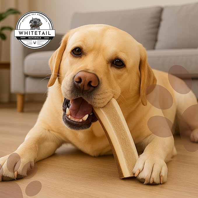 WhiteTail Naturals - Premium Split Elk Antlers for Dogs - (1 Pound Pack) - Organic Dog Chews - Naturally Shed Antler Dog Bones - Long Lasting, Crafted in USA