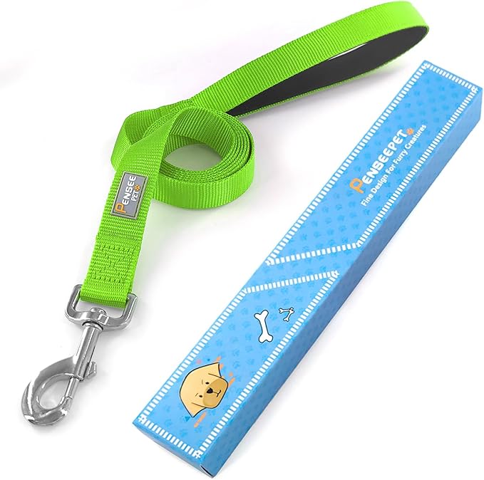 Basic Dog Leashes 6 FT Padded Handle Nylon Dogs Leashes for Medium Dogs Green