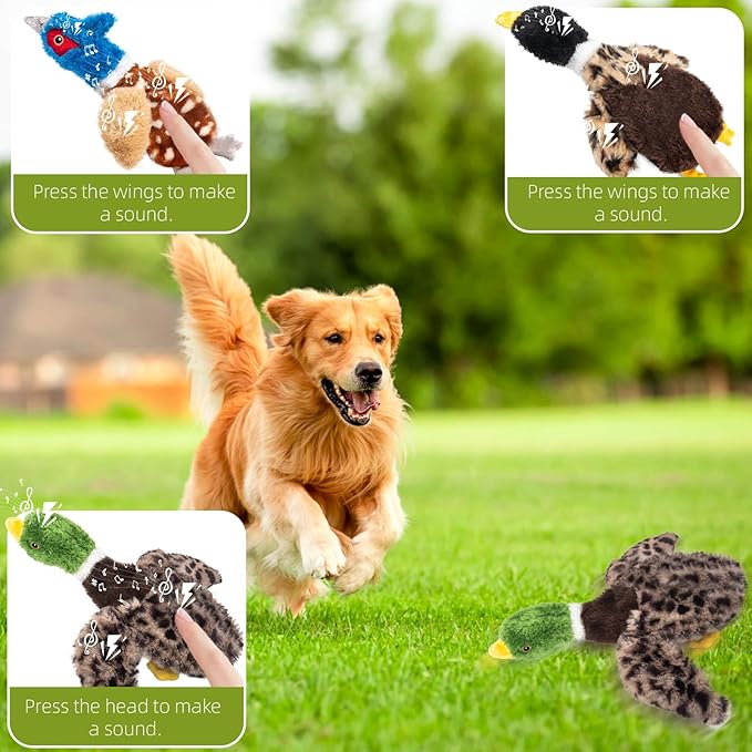 Dog Squeaky Toy Set – 3-Pack Durable Plush Chicken, Pheasant, Goose for Small and Medium Dogs – Soft Bird Chew Toys with Crinkle Sound for Puppy Play, Interactive Training