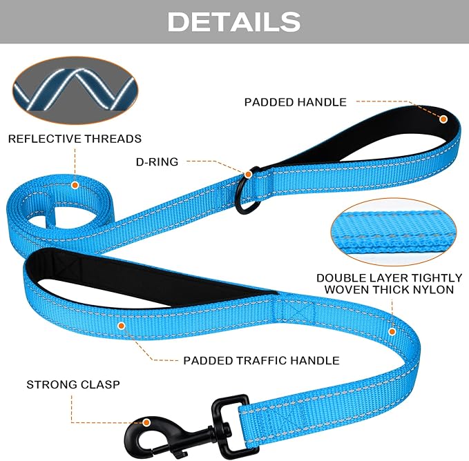 Joytale Dog Leash Heavy Duty for Large Dogs That Pull, Double Handle for Traffic Control, Double-Sided Reflective Leashes for Large Medium Dogs Night Safety, 4FT, Aqua Blue
