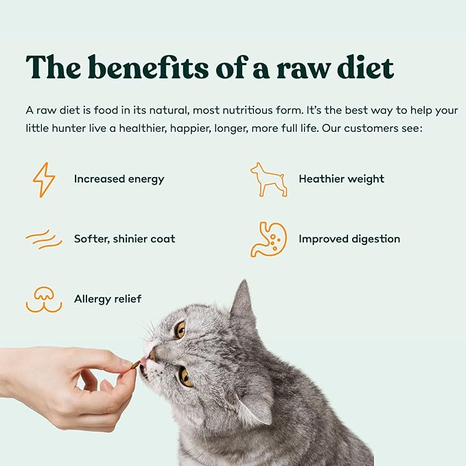 Little Hunter Freeze-Dried Raw Quail Egg Yolk for Dog & Cat Treats | Single-Ingredient High Protein, High Omega-3, Grain & Gluten-Free Training Reward | All Natural, Healthy Pet Treats, 4.2 oz