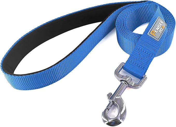 Basic Dog Leashes 6 FT Padded Handle Nylon Dogs Leashes for Large Dogs Blue