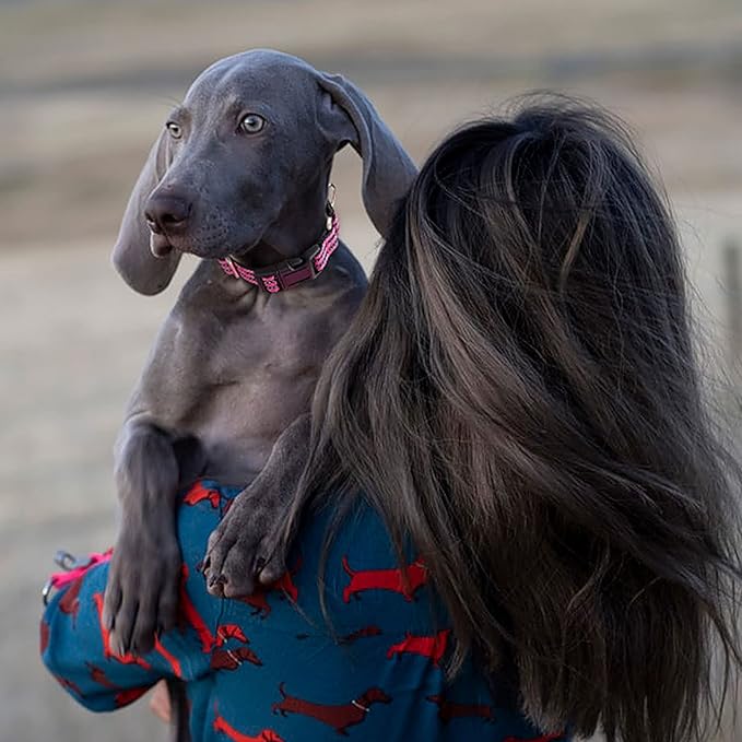Hikiko Martingale Dog Collars Reflective Nylon Puppy Dog Collar with Quick Release Buckle Adjustable Training No Slip Dog Collar (X-Small, Pink)