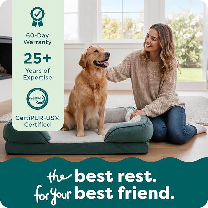 FurHaven Cooling Gel Dog Bed for Large Dogs, Comfort Sofa Bed with Cool Gel-Top Foam and a Solid Orthopedic Foam Base for Joint Support, Washable Cover, Jumbo XL, Plush & Velvet, Celadon Green
