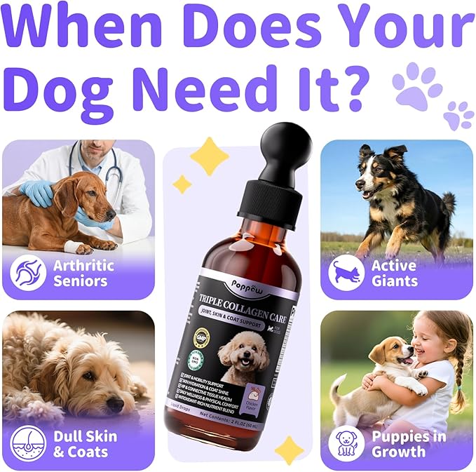 POPPAW Collagen for Dogs - Liquid Collagen for Hip & Joint Support, Skin & Coat with Types I, II & III Drops, Hyaluronic Acid and Vitamin C - Chicken Flavor, 2 FL Oz