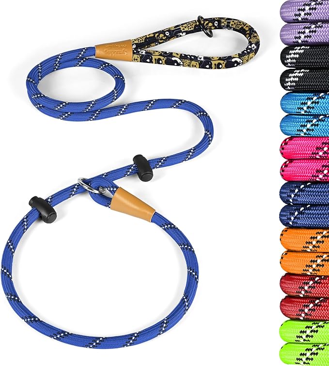 lynxking Slip Lead Dog Leash Reflective, Heavy Duty Comfortable Strong Rope for Large Medium Small Dogs No Pull Pet Training (Blue, Small 3/8in x 6ft-Slip Lead)