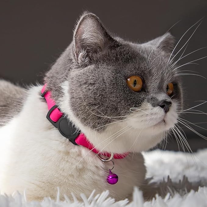 Personalized Cat Collars with Name and Phone Number |Custom Cat Collar with Breakaway Safety Release Buckle and Bells | Cute Waterproof PVC ID Collar for Boy and Girl Kitten Cat