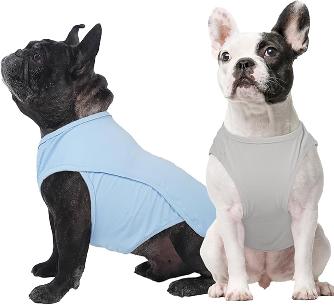 2 Pack Dog Shirt Quick Dry, Sun Protection UPF50+ Summer Cooling Vest, Soft Lightweight Tshirts for Medium Dogs Allergy Wound Care, Blue+Grey, M