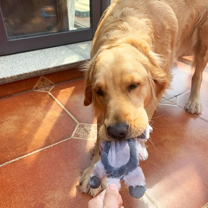 Jalousie 5 Pack Plush Toys Assortment Value Bundle Puppy Pet Mutt Squeak Toy for Medium Large Dogs (5 Pack Premium Corduroy) (1 Pack Large Plush Fox)