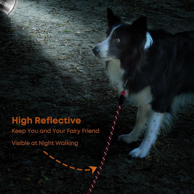 100FT Long Dog Leash for Dog Training, Lockable Hook Reflective Leash, Heavy Duty Dogs Lead Tie Out Rope for Large Medium Small Dogs Outside Walking, Playing, Camping, or Yard