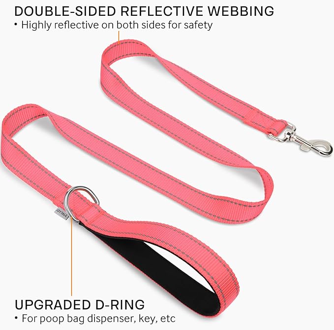 Joytale Double-Sided Reflective Dog Leash, 4 FT, Padded Handle Nylon Heavy Duty Leashes for Small & Medium Dogs Walking, Neon Pink