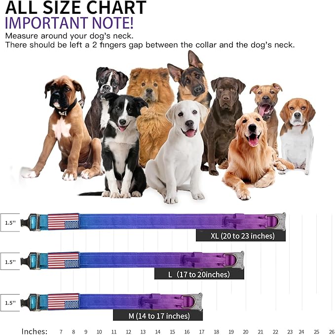 Tactical Dog Collar Military Dog Collar Adjustable Nylon Dog Collar Heavy Duty Metal Buckle with Handle for Dog Training,with Patches (Gradient 1, M)