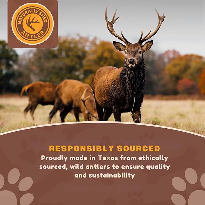 WhiteTail Naturals - Antlers for Small Dogs (10 Pack) Deer Antler Dog Chew Bones for Small Aggressive Chewers - Long Lasting Horn Chew Toys - Naturally Shed