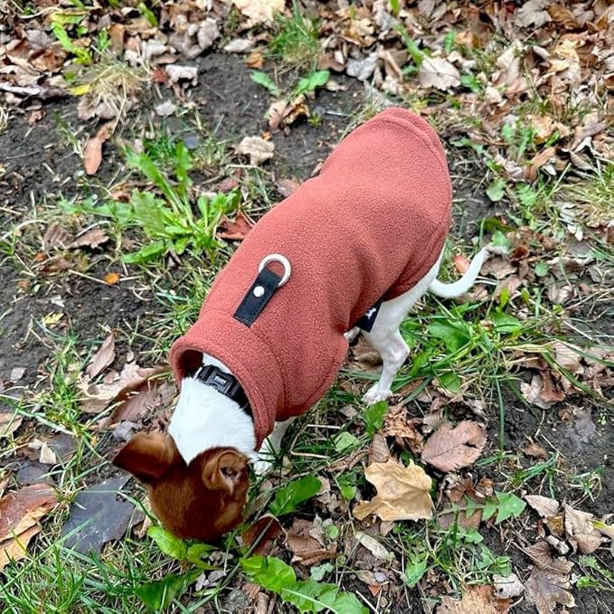 JACKO & CO - Fleece Vest Dog Sweater with Leash Ring - Soft, Warm & Lightweight Pullover Coat for Small & Medium Dogs, Puppies & Cats - Cozy Fall/Winter/Spring Pet Jacket (Chocolate Brown, S (4-6lbs)