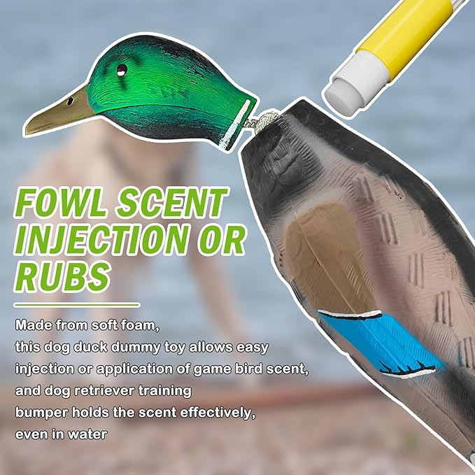 Archerest Dead Duck Dove Pheasant Dummy Bumper Toys for Waterfowl Hunting Retriever Dog Training, Floating Mallard Dummy Trainer Outdoor Soft Durable Realistic Fowl