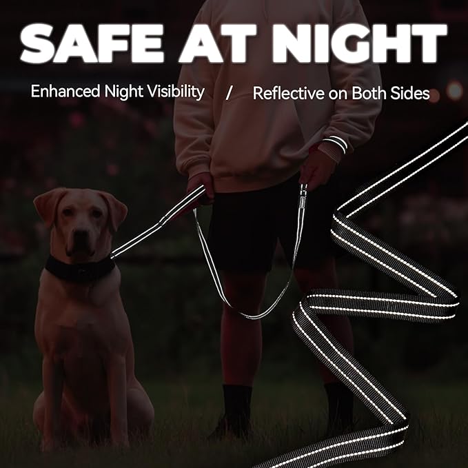 VIVAGLORY Twingrip Dog Leash, Double Handle Dog Leash for Training & Walking with Traffic Handle & 2 Loop, Traffic Control Reflective Heavy Duty for Puppy Pet, 5ft x 1in, Pink