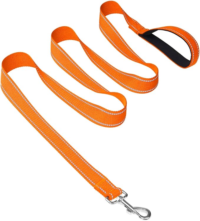 Joytale Double-Sided Reflective Dog Leash, 6 FT/5 FT/4 FT, Padded Handle Nylon Heavy Duty Leashes for Medium & Large Dogs Walking, Orange, 6FT