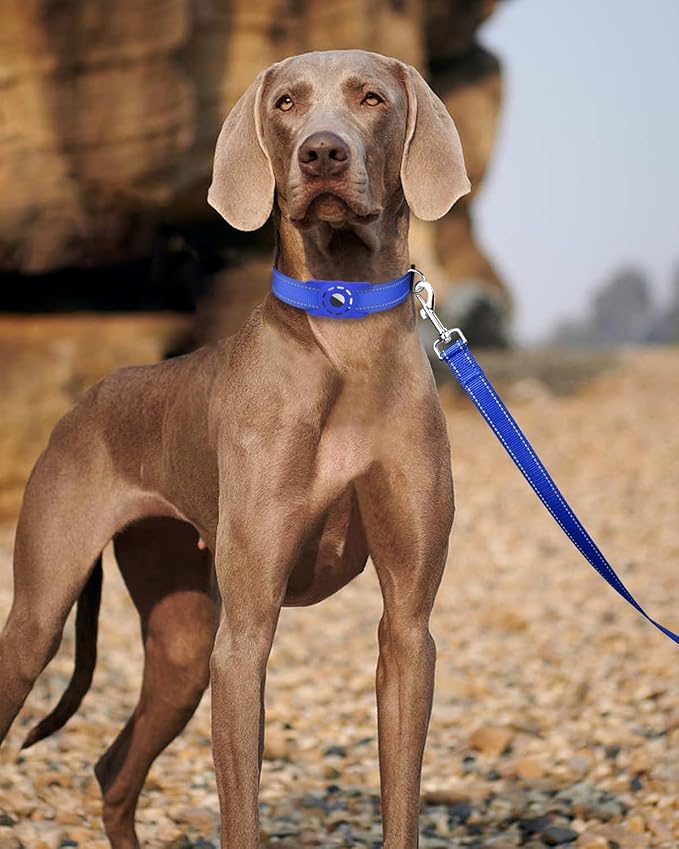 4FT Reflective Nylon Dog Leash with Soft Padded Handle for Walking, Running and Training, Supports Small Medium and Large Dogs (Royal Blue, 3/4 Inch Wide)