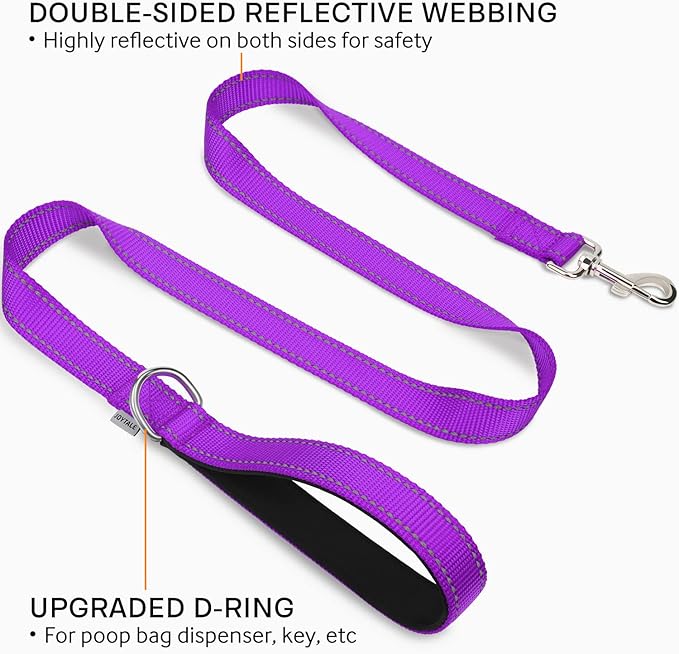 Joytale Double-Sided Reflective Dog Leash, 6 FT/5 FT/4 FT, Padded Handle Nylon Heavy Duty Leashes for Small & Medium Dogs Walking, Purple, 5FT