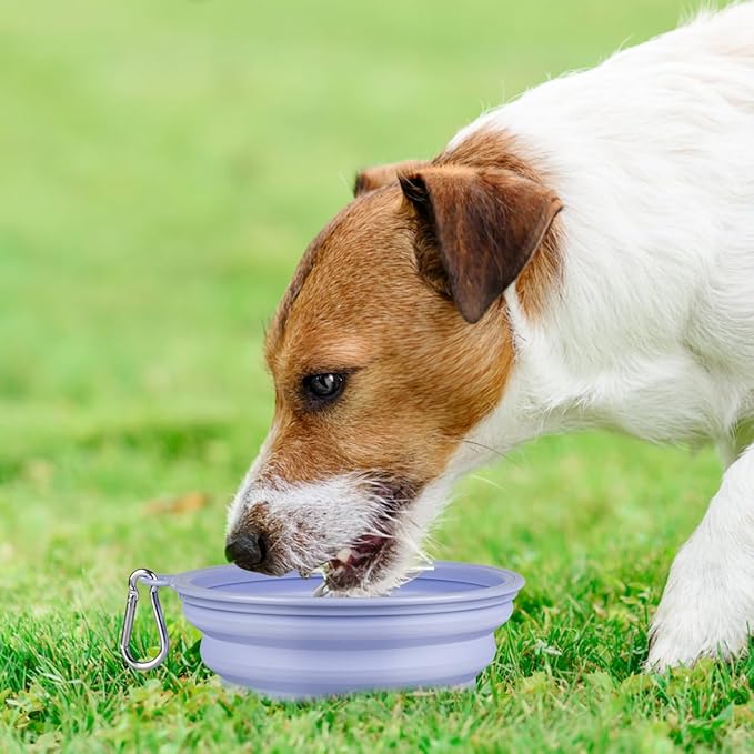 Kytely Collapsible Dog Bowls Medium (650ml), 2 Pack Travel Dog Bowls for Dog Cat, Portable Pet Water Food Bowl with Clasp, Pet Cat Feeding Cup Dish for Outdoor, Travel, Walking, Parking