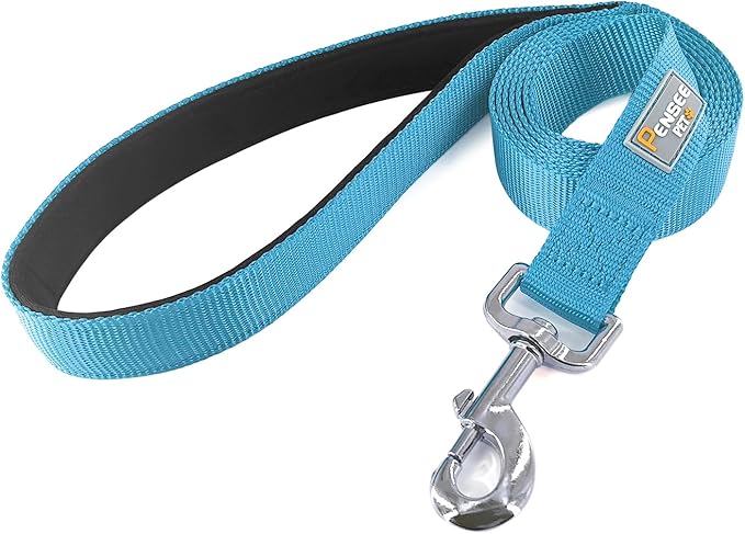 Basic Dog Leashes 6 FT Padded Handle Nylon Dogs Leashes for Large Dogs Light Blue