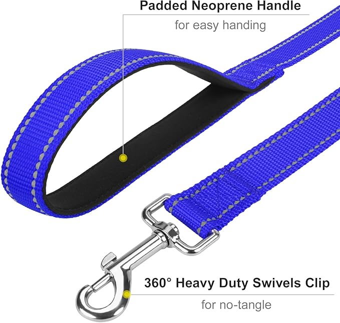 6FT Reflective Nylon Dog Leash with Soft Padded Handle for Walking, Running and Training, Supports Small Medium and Large Dogs (Royal Blue, 3/4Inch Wide)