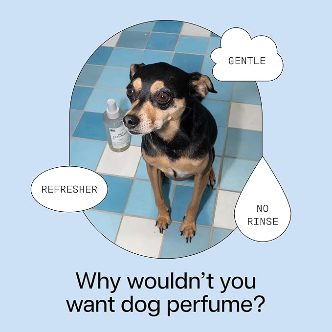 DedCool Pet Fragrance 01 Taunt | Luxury Pet Perfume & Grooming Spray for Dogs, Cats & Puppies | Long Lasting Pet Deodorizer & Indoor Odor Eliminator | Clean, Non-Toxic, Vegan, Eco-Friendly | 8.5 fl oz