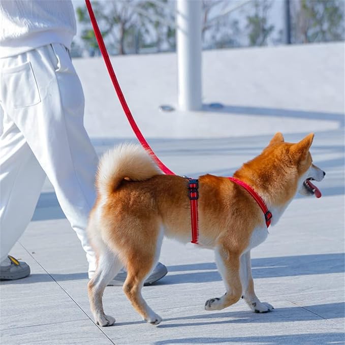 EXCELLENT ELITE SPANKER No Pull Dog Harness Reflective Nylon Vest L-Shaped Adjustable Easy Pet Harness for Small Medium Large Breeds Dogs Walking Training Black Red(Black-M)