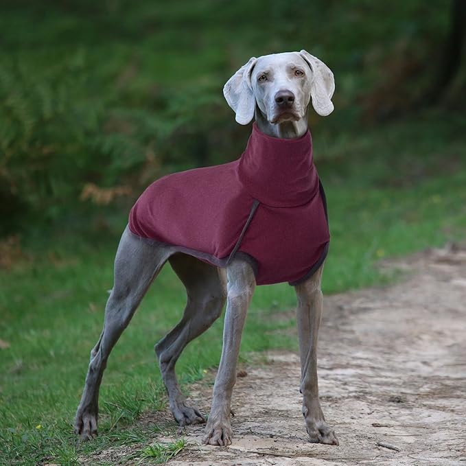 ROZKITCH Soft Warm Sweater Pajamas, Vest for Cold Weather Winter, Elastic Turtleneck, Onesie Sleeveless Pullover Clothes, Lightweight Pet Shirt for Small Medium Large Dogs Red