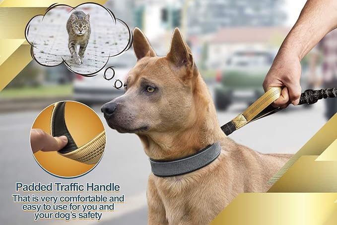 SparklyPets Hands Free Dog Leash for Medium and Large Breeds – Professional Harness with Reflective Stitches for Training, Walking, Jogging and Running Your Pet (Premium Gold Champagne, for 1 Dog)