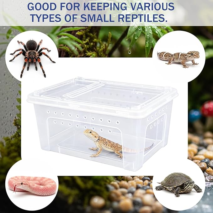 10 Pcs Jumping Spider Enclosure Kit, Acrylic Reptile Breeding Box Cage, Digital Thermometer Hygrometer Temperature, Coco Coir Mats Hides, Water Food Feeder Bowl Dish Indoor Habitat | by Cotkkstt