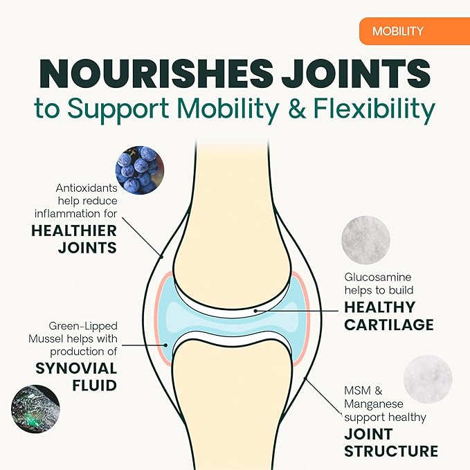 VetriScience Extra Strength Hip & Joint Supplement for Dogs, GlycoFlex 3 –Vet Formulated Glucosamine, MSM & Green-Lipped Mussel Chews for Mobility, Flexibility & Joint Support, Chicken Flavor, 60ct