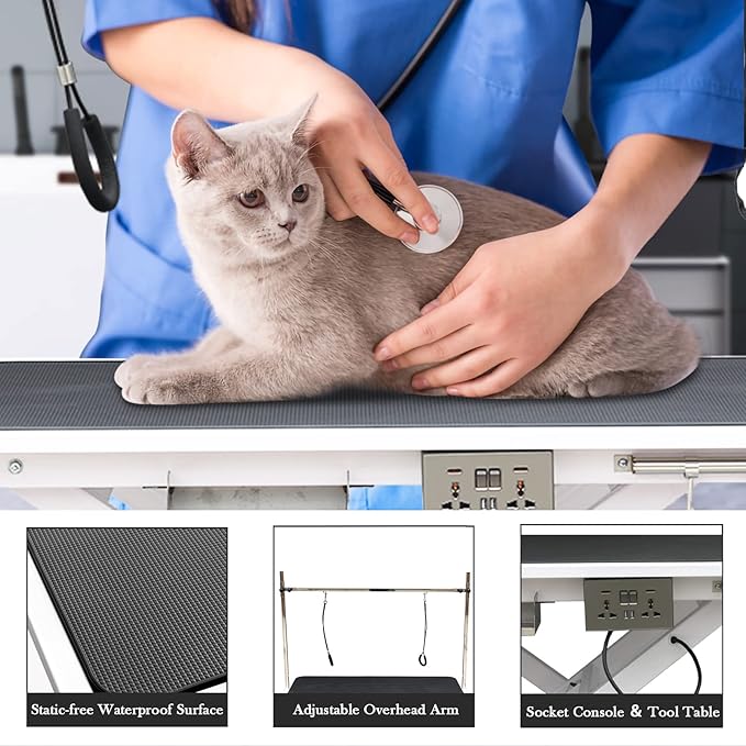 SoarFlash 49.6” Electric Lift Pet Dog Grooming Table,Heavy Duty Electric Grooming Table for Dogs&Cats,Heavy Duty Height Adjustable with Overhead Arm, Clamps, Two Grooming Noose