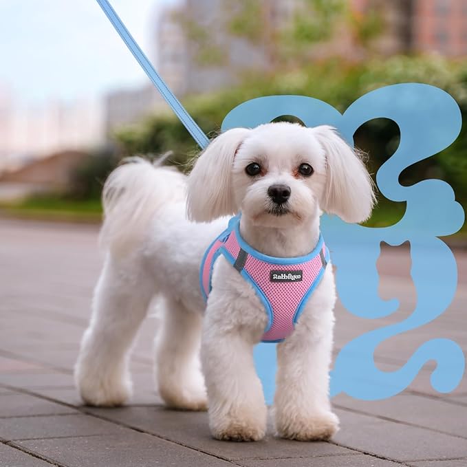 rabbitgoo Dog Harness Small Sized and Leash Set, Step-in Breathable Pet Harness, Soft Walking Reflective Puppy Vest for Small Dogs, Pink & Light Blue, L